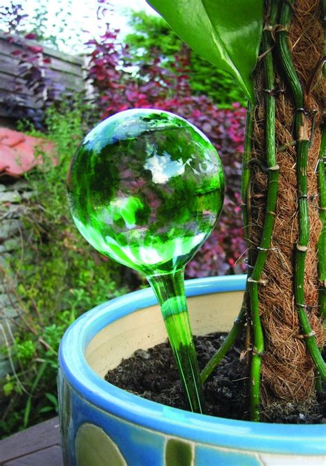 Snap magic aqua globes
